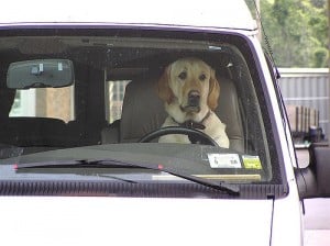 when road rage becomes a crime